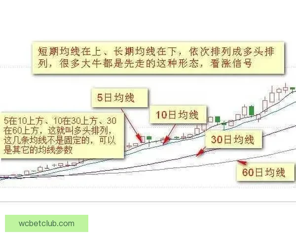 世界杯跟单实战技巧与稳定盈利策略全面解析助赢率持续提升指南
