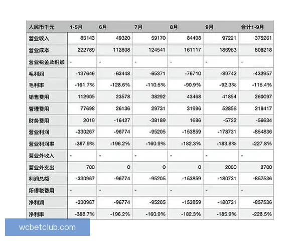 解析体育竞猜赔率背后的玄机 揭示数据如何影响投注策略与结果